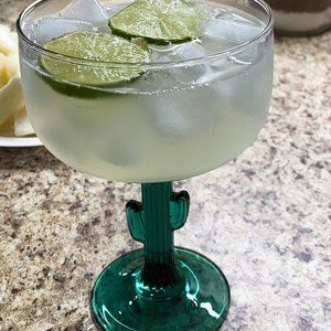 Cactus Margarita Glass